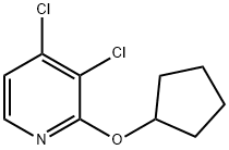 Pyridine, 3,4-dichloro-2-(cyclopentyloxy)- 结构式