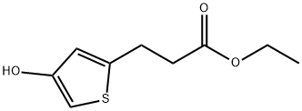 2-Thiophenepropanoic acid, 4-hydroxy-, ethyl ester,1881293-49-7,结构式