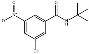 Benzamide, N-(1,1-dimethylethyl)-3-hydroxy-5-nitro- 结构式
