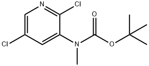 Carbamic acid, N-(2,5-dichloro-3-pyridinyl)-N-methyl-, 1,1-dimethylethyl ester 结构式