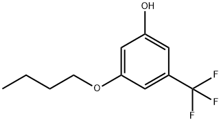 Phenol, 3-butoxy-5-(trifluoromethyl)- 结构式