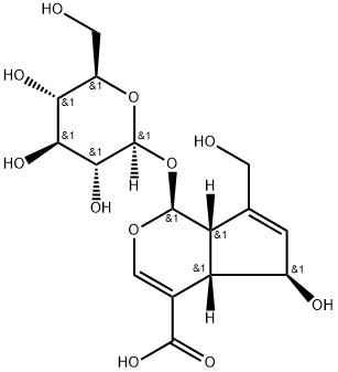 去乙酰车叶草苷酸, 18842-99-4, 结构式