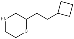 Morpholine,2-(2-cyclobutylethyl)- 结构式