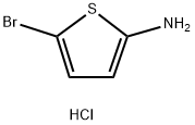 2-Thiophenamine, 5-bromo-, hydrochloride (1:1),1956321-73-5,结构式