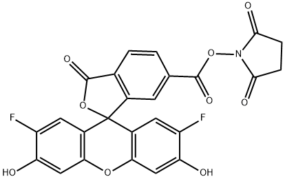 Oregon Green 488 carboxylic acid succinimidyl ester 6-isomer,198139-50-3,结构式