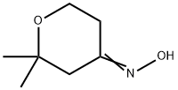 2,2-Dimethyl-tetrahydro-pyran-4-one oxime