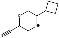 2-Morpholinecarbonitrile,5-cyclobutyl-,2117675-00-8,结构式