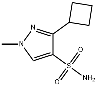 3-cyclobutyl-1-methyl-1H-pyrazole-4-sulfonamide 结构式