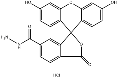 FAM hydrazide, 6-isomer Struktur
