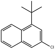 1-(叔丁基)-3-氯萘,2217657-09-3,结构式