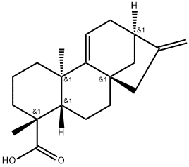 (+)-カウラ-9(11),16-ジエン-18-酸 化学構造式