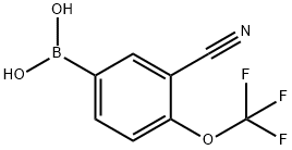 3-Cyano-4-(trifluoromethoxy)phenyl]boronic acid,2268800-99-1,结构式