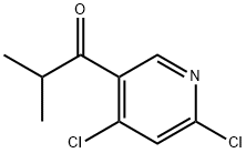 1-(4,6-二氯-3-吡啶基)-2-甲基-1-丙酮 结构式