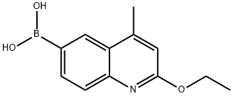 (2-Ethoxy-4-methylquinolin-6-yl)boronic acid 结构式