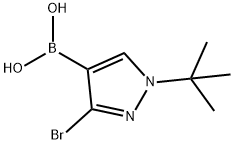 3-Bromo-1-tert-butylpyrazole-4-boronic acid,2377610-04-1,结构式