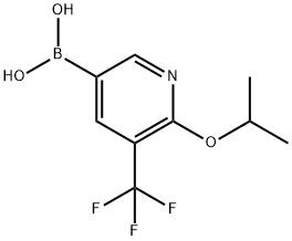 2377611-53-3 结构式
