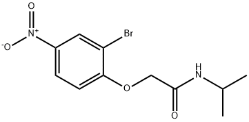 2-(2-Bromo-4-nitrophenoxy)-N-isopropylacetamide Struktur