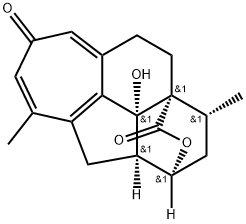 ホルツノリドA 化学構造式