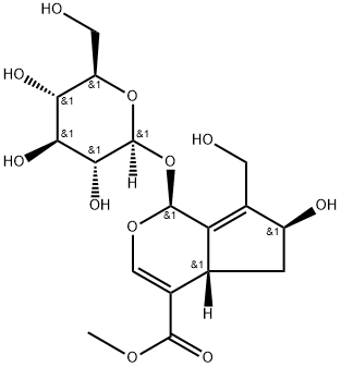 10-ヒドロキシマジョロシド 化学構造式