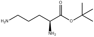 L-Ornithine, 1,1-dimethylethyl ester Structure