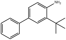 3-(叔丁基)-[1,1