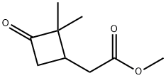 Cyclobutaneacetic acid, 2,2-dimethyl-3-oxo-, methyl ester 化学構造式