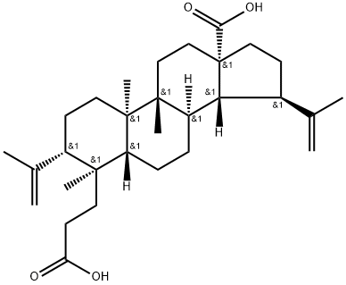 3,4-Secolupa-4(23),20(29)-diene-3,28-dioic acid, 36138-41-7, 结构式