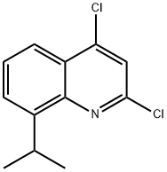 406204-68-0 2,4-Dichloro-8-propan-2-ylquinoline
