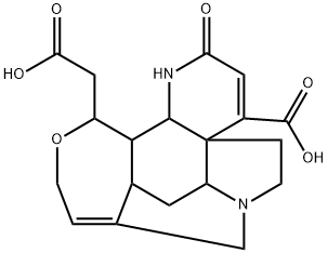 N,N-Dimethylformamidew Structure