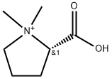 Pyrrolidinium, 2-carboxy-1,1-dimethyl-, (S)- (9CI) Struktur