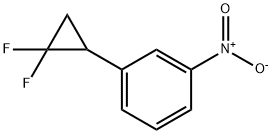 1-(2，2-difluorocyclopropyl)-3-nitrobenzene, 54672-46-7, 结构式