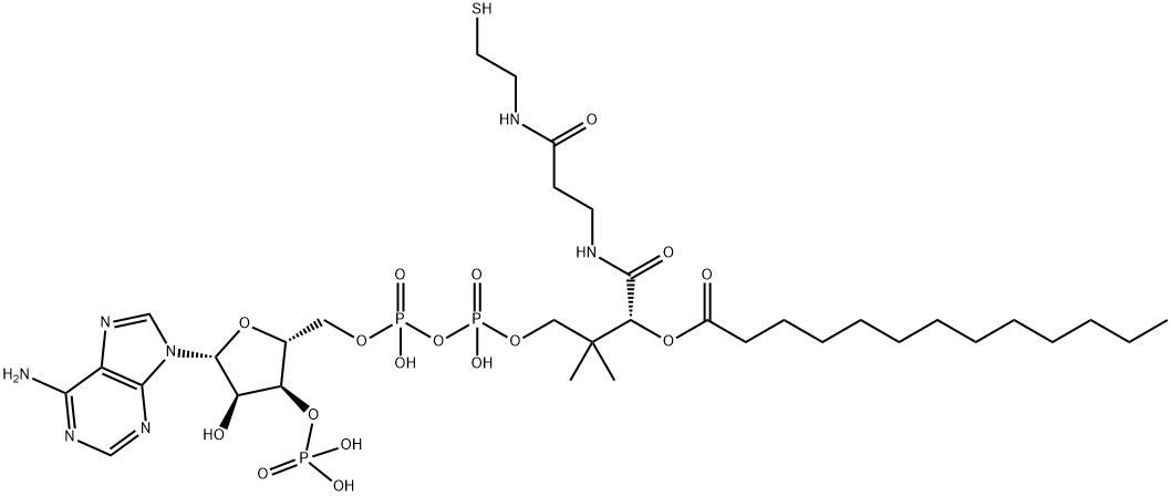 Coenzyme A, S-tridecanoate|