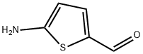 57500-50-2 5-氨基噻吩-2-甲醛