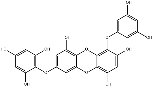 Dibenzo[b,e][1,4]dioxin-1,3,6-triol, 4-(3,5-dihydroxyphenoxy)-8-(2,4,6-trihydroxyphenoxy)- Structure