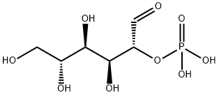 2-(Dihydrogen phosphate) D-glucose, Min. 95% Struktur
