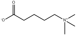 delta-Valerobetaine 化学構造式