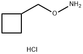O-(环丁基甲基)羟胺盐酸盐 结构式