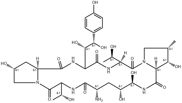 ECHINOCANDIN B Structure