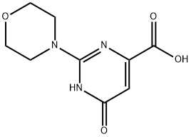 2-Morpholino-6-oxo-1,6-dihydropyrimidine-4-carboxylic acid Structure