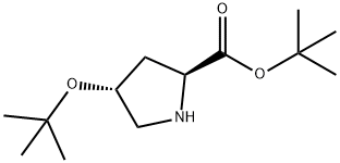 O-tert·Butyl-trans-4-hydroxy-L-prolinetert·butyl Struktur