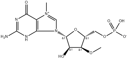 5'-Guanylic acid, 7-methyl-3'-O-methyl-, inner salt Structure