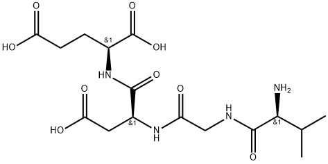 VGDE Structure