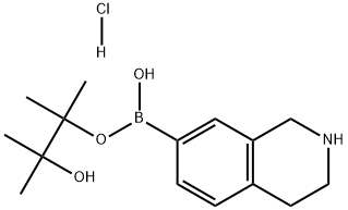 1,2,3,4-四氢异喹啉-7-硼酸频哪醇酯盐酸盐 结构式