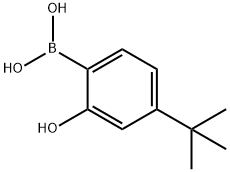 Boronic acid, B-[4-(1,1-dimethylethyl)-2-hydroxyphenyl]- Struktur