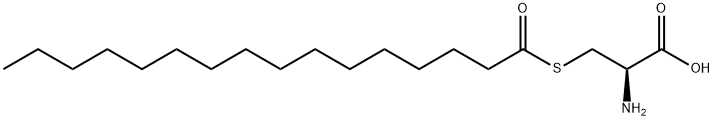 L-Cysteine, S-(1-oxohexadecyl)- Structure