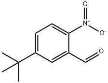 2-nitro-5-tert-butylbenzaldehyde Struktur