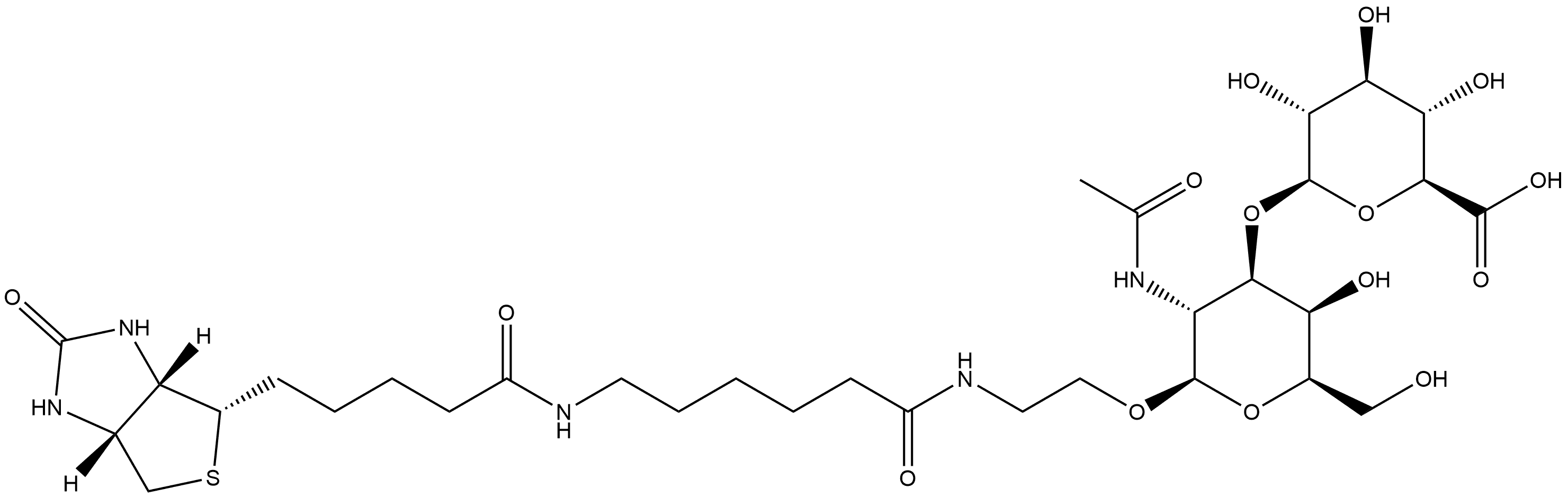 (3aS,4S,6aR)-N-[6-[[2-[[2-(Acetylamino)-2-deoxy-3-O-β-D-glucopyranuronosyl-β-D-galactopyranosyl]oxy]ethyl]amino]-6-oxohexyl]hexahydro-2-oxo-1H-thieno[3,4-d]imidazole-4-pentanamide 结构式