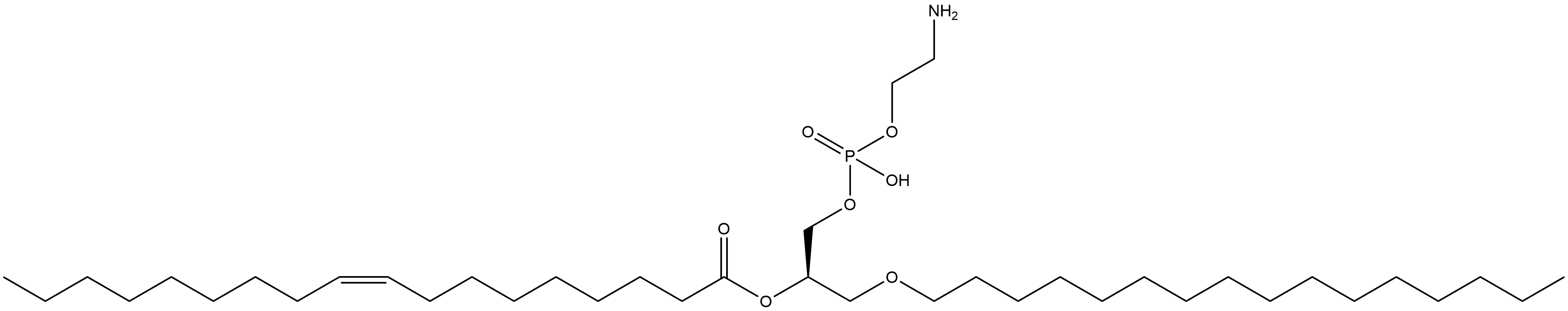 C16-18:1 PE Struktur