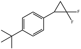 Benzene, 1-(2,2-difluorocyclopropyl)-4-(1,1-dimethylethyl)- Struktur