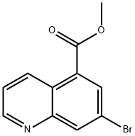 5-Quinolinecarboxylic acid, 7-bromo-, methyl ester Structure